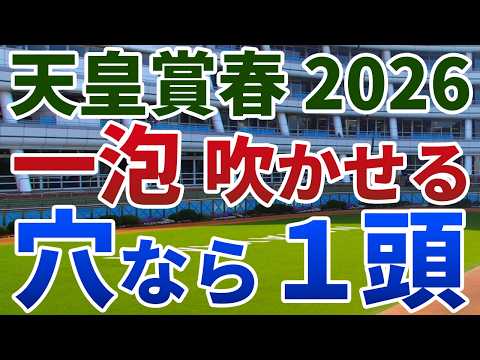 天皇賞春2026 追い切り後【買いの1頭】公開！人気サイドに対抗できる唯一の存在！波乱を呼ぶ衰え知らずの１頭は？