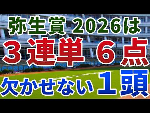 弥生賞ディープインパクト記念2026 追い切り後【買いの1頭】公開！トライアル特有の“賞金問題”を考察！能力重賞級でも低評価に甘んじる１頭は？