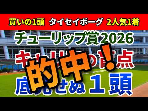 チューリップ賞2026 追い切り後【買いの1頭】公開！穴馬頻出パターンは新馬・未勝利組！相手強化でも期待の底を見せない伏兵は？