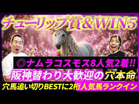 【チューリップ賞&amp;WIN5予想】◎ナムラコスモス8人気2着！阪神歓迎の穴本命と絶好追い爆穴馬！