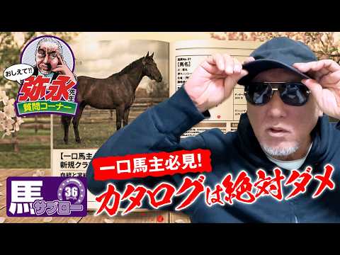 おしえて！弥永先生 〜カタログで馬を選ぶな！走る馬を見抜く極意〜