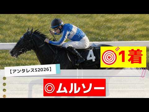【アンタレスステークス2026】追い切りから買いたい1頭！まだまだ成長中！？