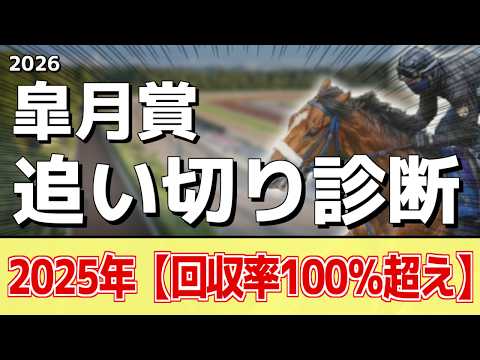追い切り徹底解説！【皐月賞2026】ロブチェン、カヴァレリッツォなどの状態はどうか？調教S評価は2頭！