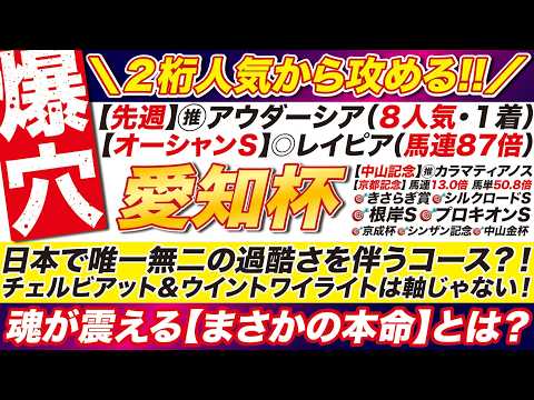 🎯２桁人気で攻める→【愛知杯2026予想】日本で唯一無二の過酷さを伴うコース？チェルビアット＆ウイントワイライトは軸じゃない！魂が震える結論とは？
