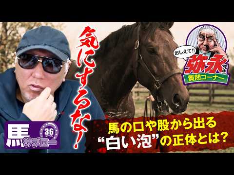 おしえて! 弥永先生 〜馬の口や股から出る“白い泡”の正体とは？〜