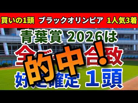 青葉賞2026 追い切り後【買いの1頭】公開！ダービーへ出走へここは落とせない一戦！好走傾向にピタリとハマる素質馬は？