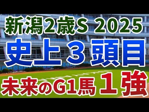 新潟2歳ステークス2025【絶対軸1頭】公開！新馬の勝ち方と上がり実績が重要な一戦！決定的な裏付けをもとに圧倒する１強は？