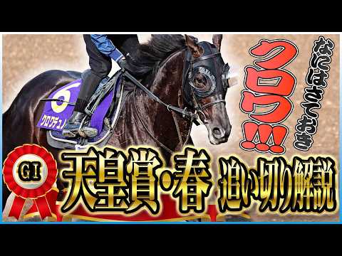 【天皇賞・春2026】「もう文句なし！」クロワ、テラ、ヘデントール…各出走馬の追い切りを東西記者が徹底解説します！《東スポ競馬》