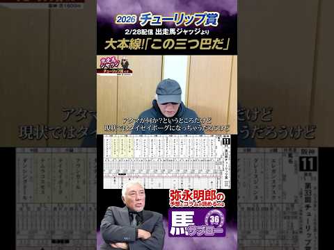【2026 チューリップ賞】出走馬ジャッジより　 #2026年チューリップ賞 #弥永 #競馬 #keiba #切り抜き