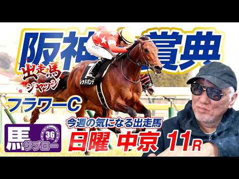 【2026 フラワーC】出走馬ジャッジ
