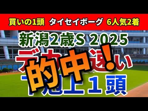 新潟２歳ステークス2025 追い切り後【買いの1頭】公開！外回り戦で強さを発揮する馬体とは？コース替わり歓迎で浮上する妙味馬を発表！