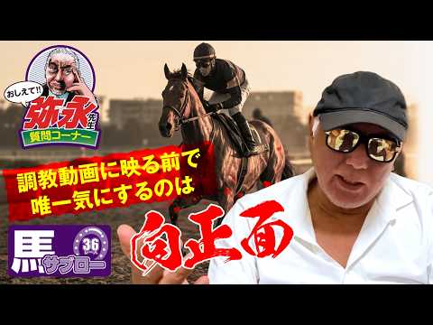 おしえて！弥永先生 〜新馬戦の“逃げ”と調教動画の隠された真実〜