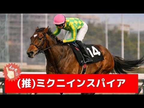 追い切り徹底解説！【日経賞2026】マイユニバース、コスモキュランダなどの状態はどうか？調教S評価は2頭！