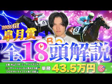 【2026皐月賞】全18頭完全解説！ニュージーランドT◎レザベーション6人気43.5倍🥇で絶好調のkotaが皐月賞データ分析＆全頭解説で徹底攻略！