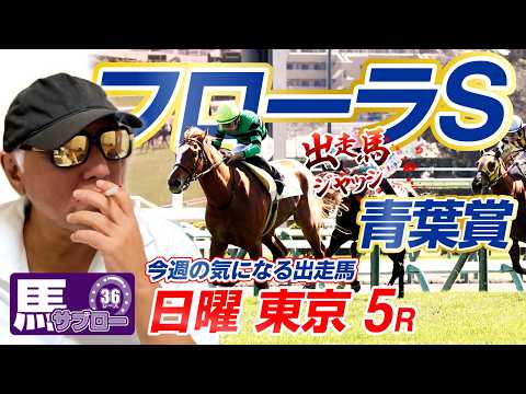 【2026 青葉賞】【2026 フローラS】出走馬ジャッジ