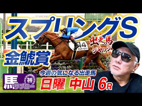 【2026 スプリングS】出走馬ジャッジ