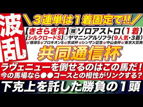 🎯３連単では１着固定で！→【共同通信杯2026予想】ラヴェニューを倒せるのはこの馬だ！今の馬場なら●●コースとの相性がリンクする？下克上を託した勝負の１頭とは？