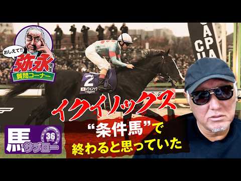 おしえて! 弥永先生 〜イクイノックスは“条件馬”で終わると思っていた？〜
